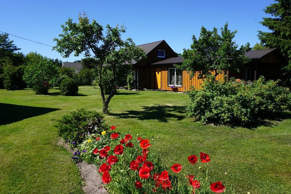 Kelluka Holiday House Pärispea エクステリア 写真